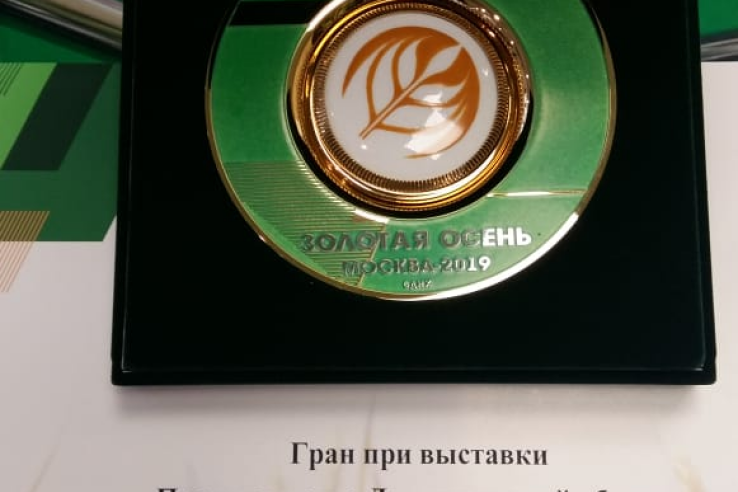 Главный приз «Золотой осени» — у Ленинградской области