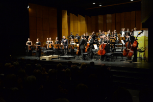 Концерт оркестра "Таврический" в Ростоке