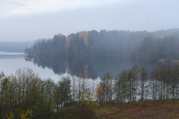 День лесов