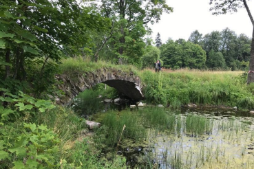 В Ленинградской области создано «Парковое агентство»