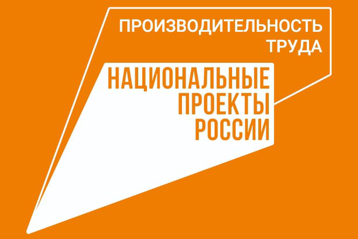 НАЦПРОЕКТЫ: компании из Ленобласти ― среди лидеров рейтинга нацпроекта «Производительность труда»