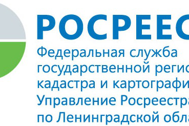 Область напоминает о «дачной амнистии»