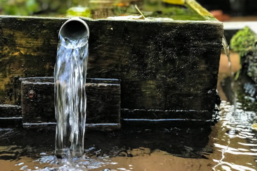 Блогеры ищут самый чистый родник в Ленинградской области.