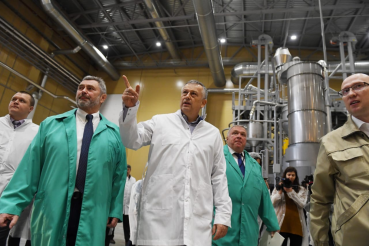 Ленинградская область увеличивает экспорт кофе