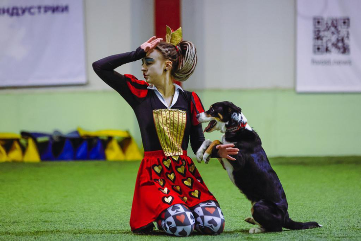 В Ленобласти — выходные с ГТО и началом велосезона