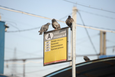 Для удобства пассажиров