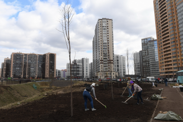 «Зеленая суббота» Всеволожского района