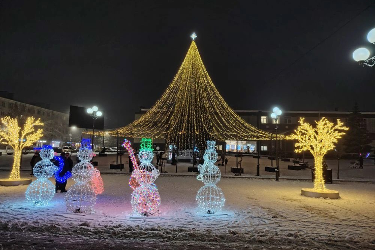 Новогодние ели из Луги и Тихвина – в полуфинале всероссийского конкурса «Ёлки России»