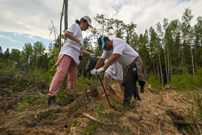 Всероссийский день посадки леса