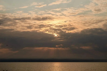 Ленобласть начинает разработку проекта «Чистая Ладога»