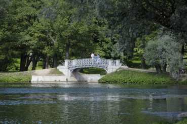 Область цветов