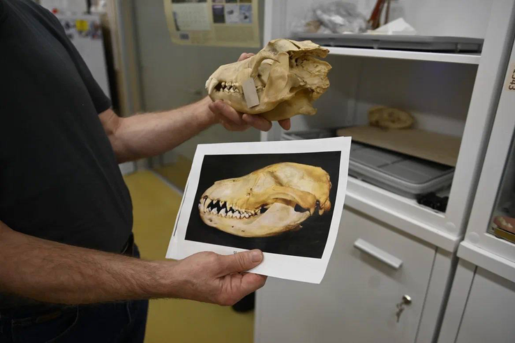 Ленобласть меняет систему формирования музейных фондов