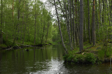 Область следит за платой за  природные ресурсы