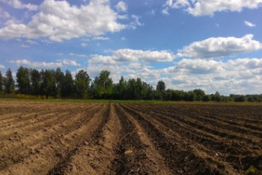 Ленинградская область возвращает земли в сельхозоборот