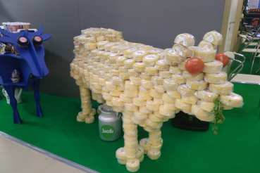 Молочный рекорд Ленинградской области