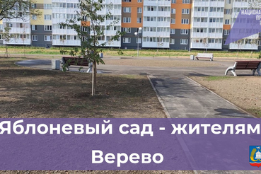 НАЦПРОЕКТЫ – НОВОСТИ ИЗ РАЙОНОВ: яблоневый сад ―  жителям Верево