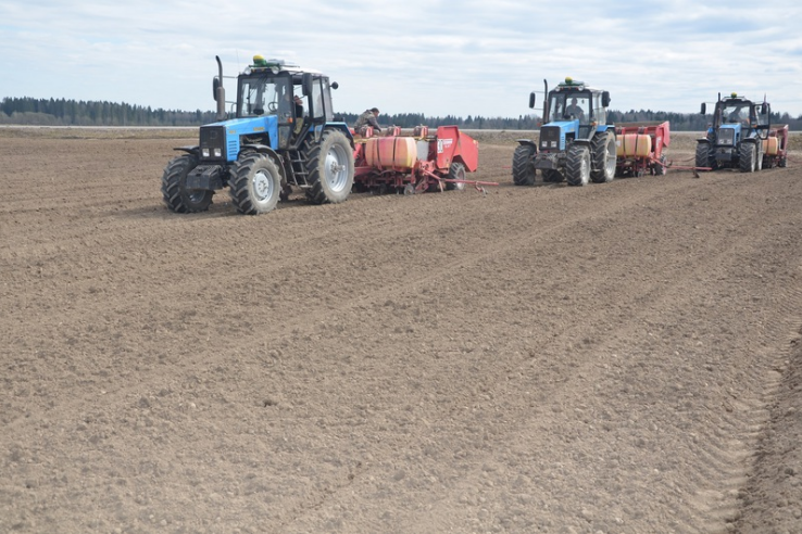 Сельхозпредприятия области начали посадку картофеля