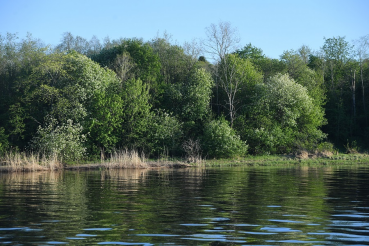 В области составлен реестр подтопляемых территорий