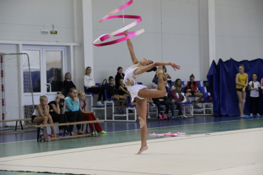 Гимнастки вступили в борьбу