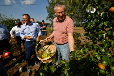 Область встречает Яблочный спас богатым урожаем