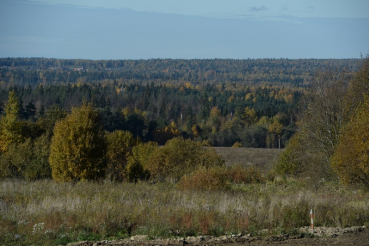 Область готовится тушить торфяники