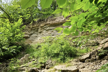 В Ленобласти — новая охранная зона