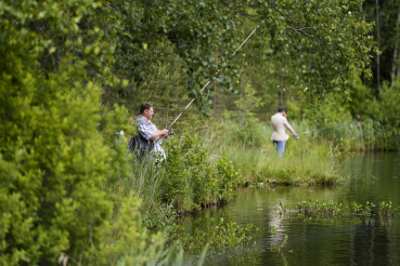 Ладогу изучат и зарыбят