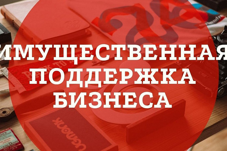 НАЦПРОЕКТЫ — НОВОСТИ ИЗ РАЙОНОВ: в Тосно бизнес получает имущественную поддержку.