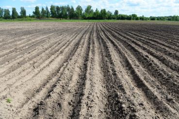 Область возвращает землю в АПК