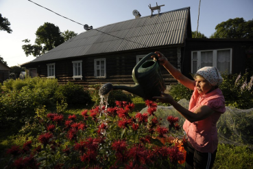 БЮДЖЕТ-2020:область увеличивает субсидии на обустройство садоводств