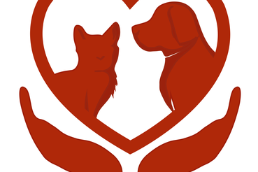 Управление ветеринарии приглашает  ленинградцев на фотоконкурс