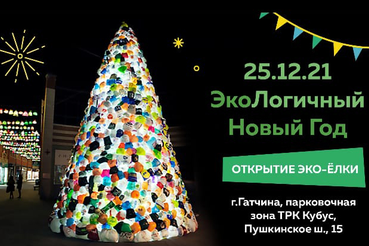 Экологичный Новый год в Гатчине