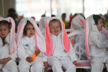 Новые сады – для юных ленинградцев