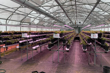 Место, где зимует лето