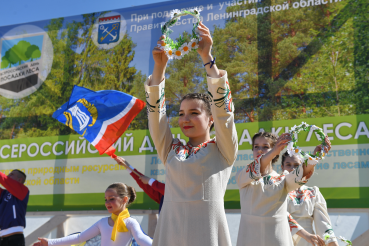 Весенний день посадки леса — 2019 