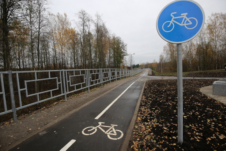 Строительство велодорожек в Ленинградской области станет системным