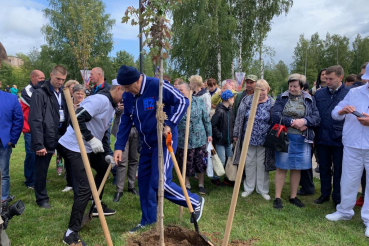 В Ленинградской области появилась Аллея Спорта