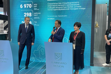 Ленобласть выходит на производство 5 млрд штук яиц в год