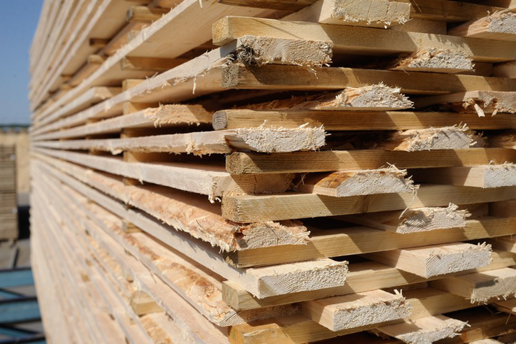 Ленобласть увеличивает объемы переработки древесины