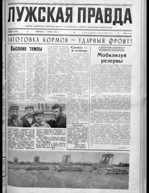 Лужская правда (03.07.1981)