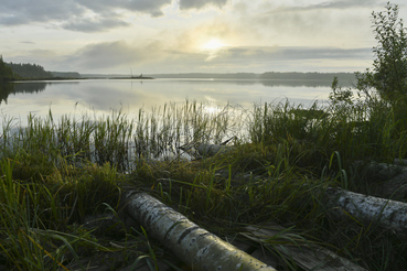 Маршрут построен: едем в Ленинградскую область