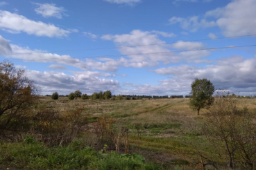 Сельхозземли возвращают в оборот