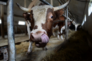 Уборка без потерь