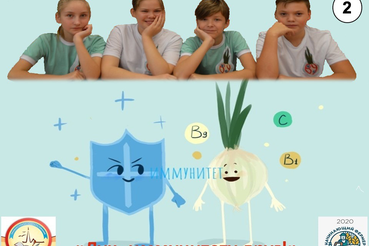 Ленинградский «лук на подоконнике» — абсолютный чемпион!