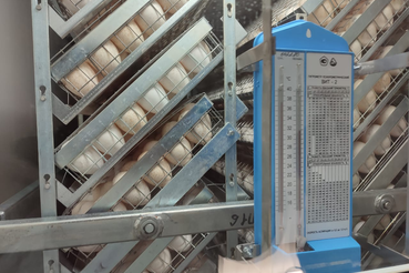 Область обеспечивает импортозамещение в АПК