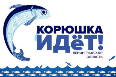 Корюшка идет в  Новую Ладогу