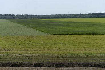Земля возвращается в оборот