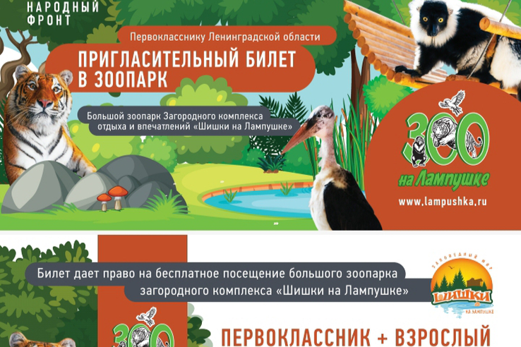 Первоклассникам — подарок от ОНФ