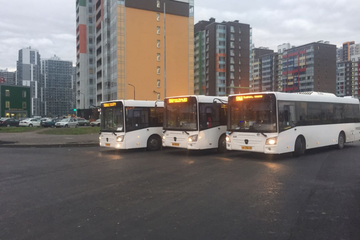 Автобусы едут в новостройки