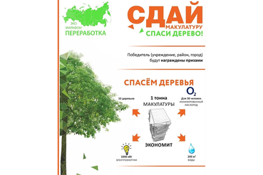 Область готовится к экомарафону «Сдай макулатуру – спаси дерево!»